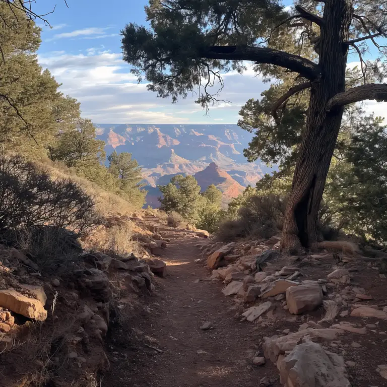 Rim Trail