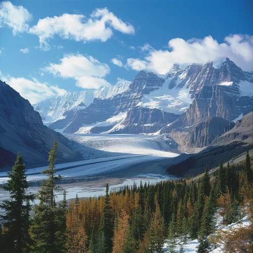 The Columbia Icefields