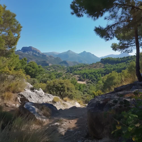 Sierra de Grazalema Natural Park