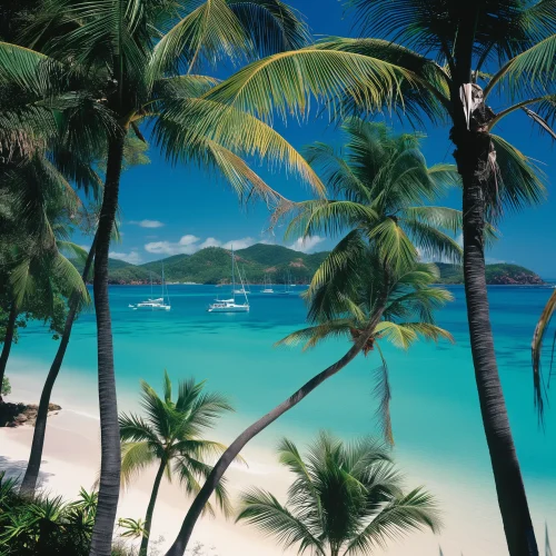 Hamilton Island