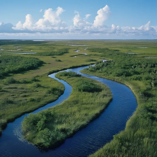 Everglades